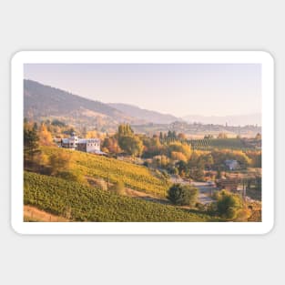 Autumn Sunset View of Vineyards - Naramata Bench Sticker